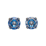 Load image into Gallery viewer, 5MM Cubic Zirconia Neon Blue Allergy-Free Stainless Steel Ear Studs