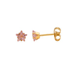 Load image into Gallery viewer, 5MM Pink Cubic Zirconia Star 24K Pure Gold Plated Ear Studs