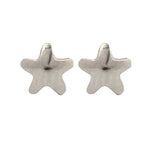 Load image into Gallery viewer, 4MM Star Allergy-free Stainless Steel Ear Piercing Stud
