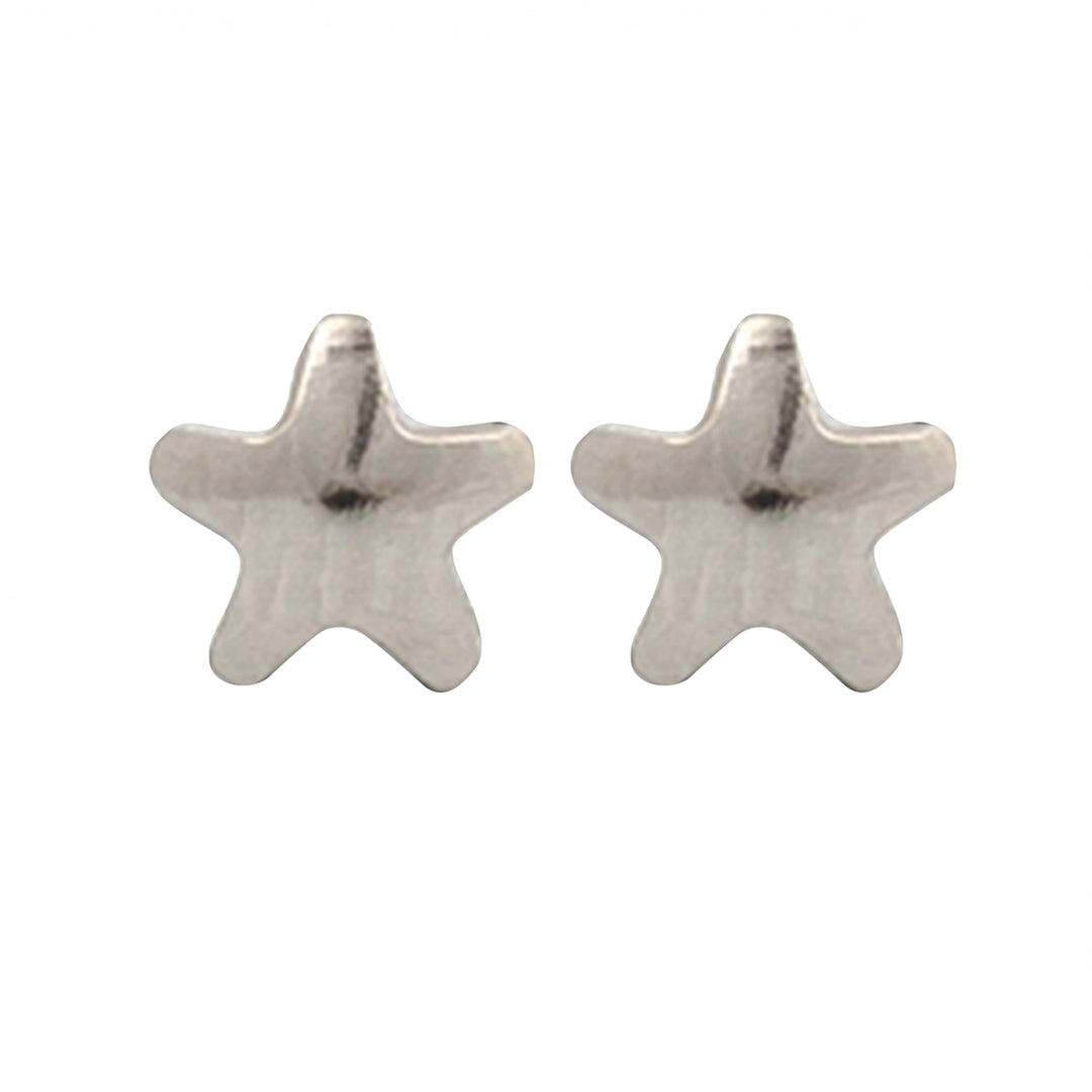 4MM Star Allergy-free Stainless Steel Ear Piercing Stud