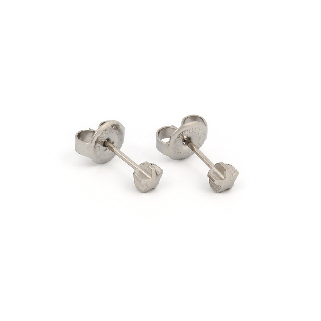 4MM Star Allergy-free Stainless Steel Ear Piercing Stud