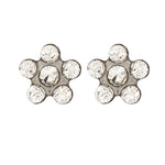 Load image into Gallery viewer, Daisy April Crystal Allergy-free Stainless Steel (Self Piercer) Ear Stud
