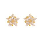 Load image into Gallery viewer, 5MM Cubic Zirconia Star 24K Pure Gold Plated (Self Piercer) Ear Stud
