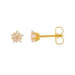 Load image into Gallery viewer, 5MM Cubic Zirconia Star 24K Pure Gold Plated (Self Piercer) Ear Stud
