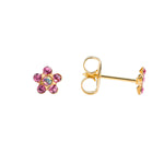 Load image into Gallery viewer, Daisy Rose 24K Pure Gold Plated Ear Piercing Stud For Kids
