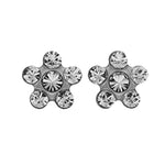 Load image into Gallery viewer, Daisy Apr Crystal Allergy-free Stainless Steel Ear Studs
