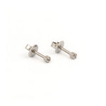 Load image into Gallery viewer, 2MM April Ð Crystal Birthstone Allergy-free Stainless Steel Ear Studs
