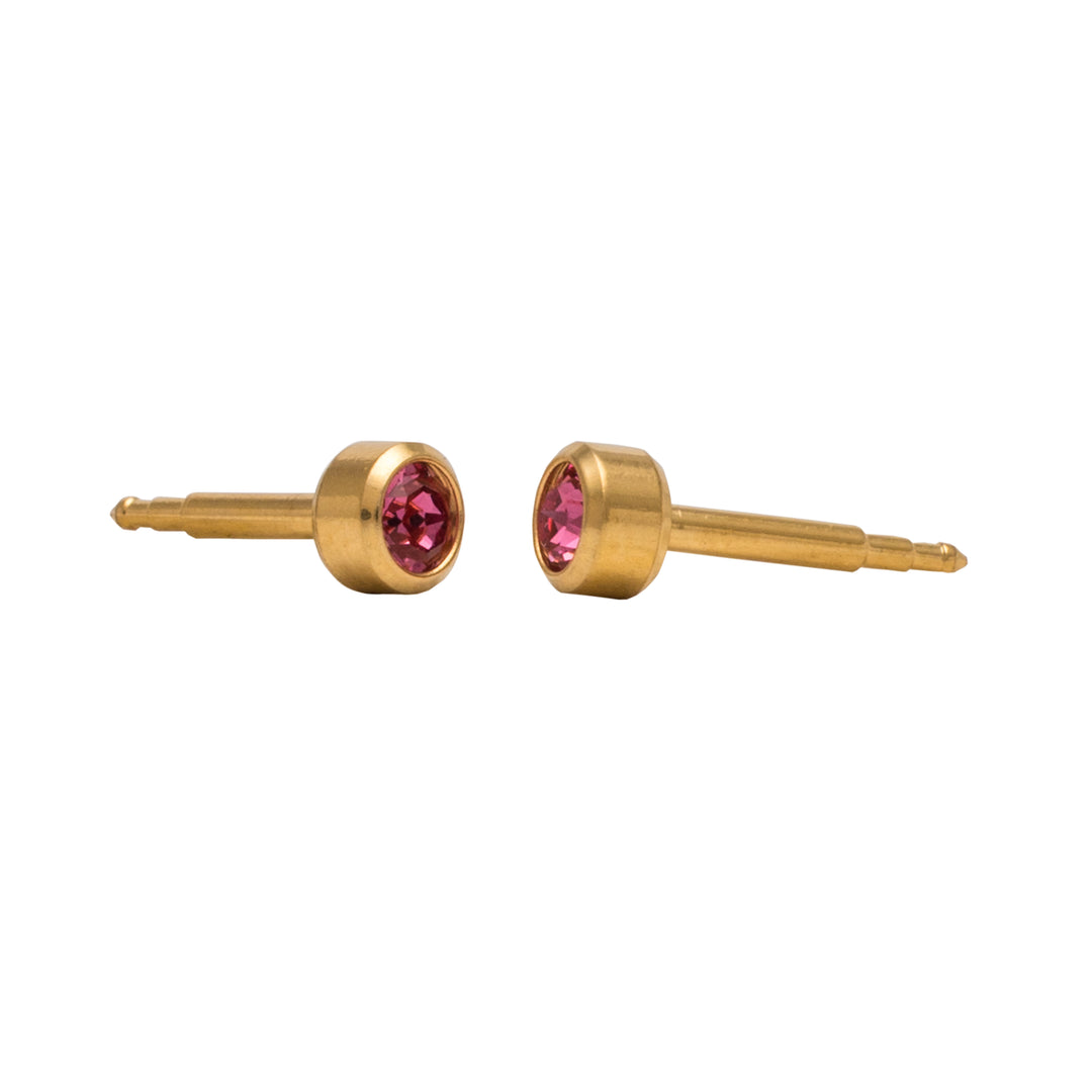 3MM February Ð Amethyst Bezel 24K Pure Gold Plated Ear Studs