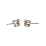 Load image into Gallery viewer, April Crystal Butterfly Shape Allergy-Free Stainless Steel Ear Studs
