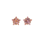 Load image into Gallery viewer, 5MM Pink Cubic Zirconia Star 24K Pure Gold Plated Ear Studs
