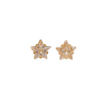 Load image into Gallery viewer, 5MM Cubic Zirconia Star 24K Pure Gold Plated Ear Studs
