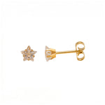 Load image into Gallery viewer, 5MM Cubic Zirconia Star 24K Pure Gold Plated Ear Studs
