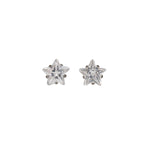Load image into Gallery viewer, 5MM Cubic Zirconia Star Allergy-Free Stainless Steel Ear Studs
