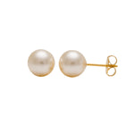 Load image into Gallery viewer, 8MM White Pearl 24K Pure Gold Plated Ear Studs
